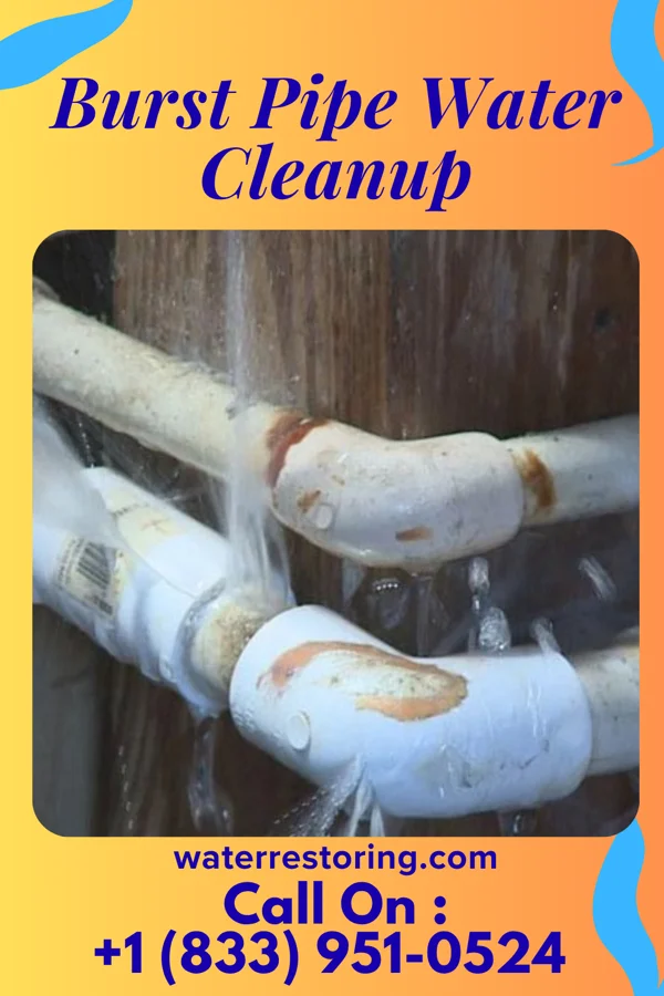 Burst Pipe Water Cleanup in Matamoras, PA