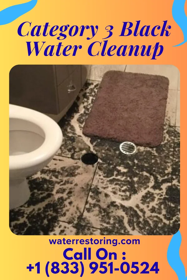 Category 3 Black Water Cleanup in Matamoras, PA