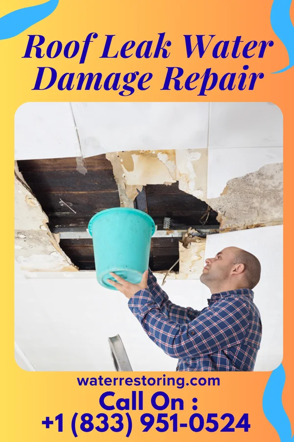 Roof Leak Water Damage Repair in Matamoras, PA