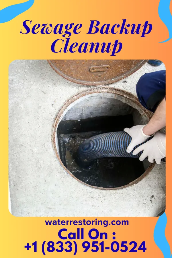 Sewage Backup Cleanup in Matamoras, PA