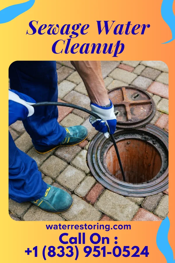 Sewage Water Cleanup in Matamoras, PA