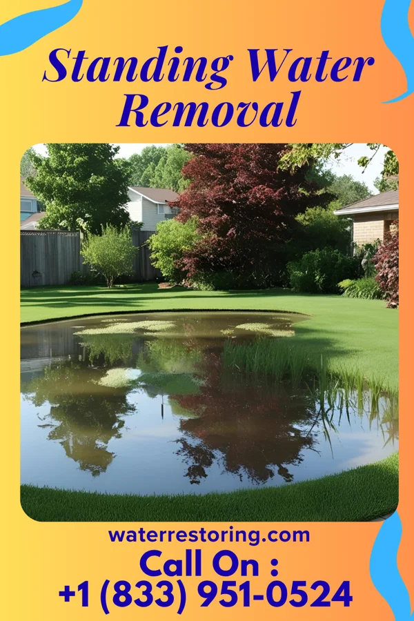 Standing Water Removal in Matamoras, PA